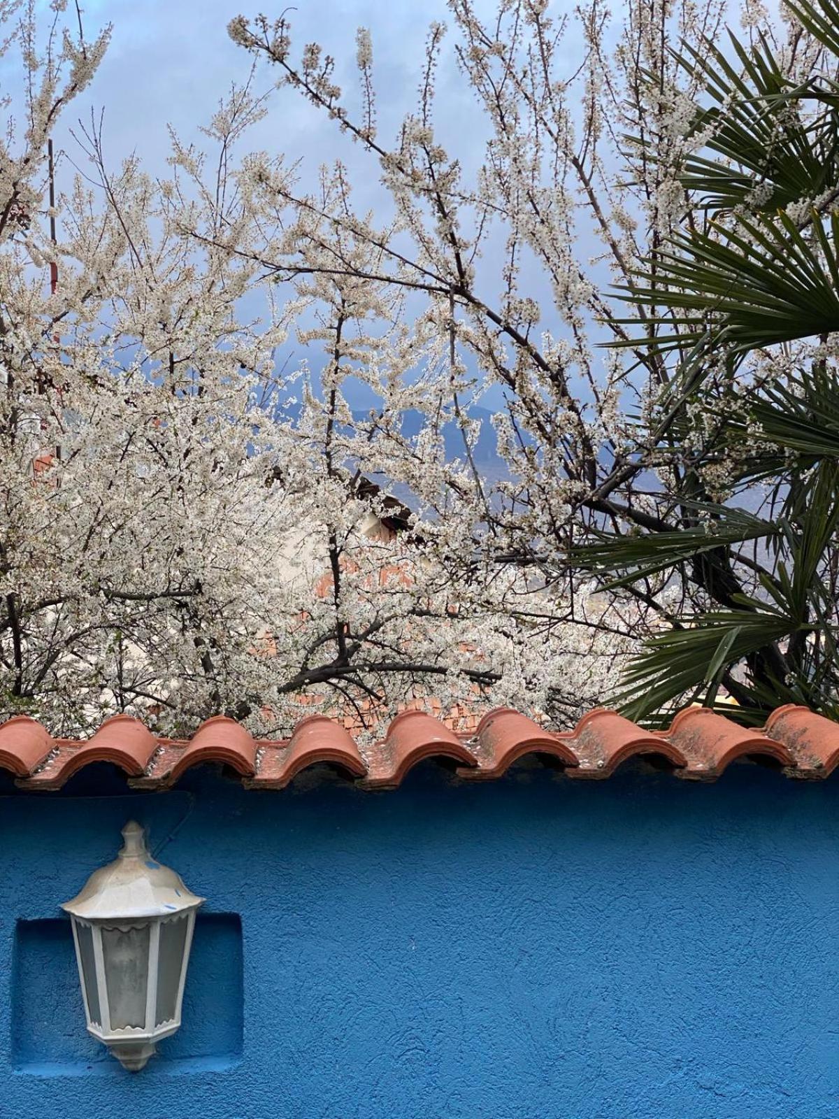 Blue Orange Lake Hostel Ohrid Exterior photo